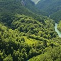 Peđa se susreo oči u oči sa mrcinom, a onda joj se obratio: Neverovatan snimak sa Tare kruži mrežama