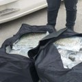 Novosadska policija u Ugrinovcima uhapsila muškarca sa 40 kilograma marihuane