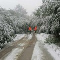 Sve pod kontrolom Gradonačelnica Užica sa saradnicima obišla putne pravce koji su bili zakrčeni od palog drveća (foto)