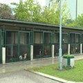 U Zoohigijeni stalno rade na unapređenju smeštaja za životinje