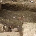 Počeo rekonstrukciju kuće, pa iskopao pravo bogatstvo: Krilo se tamo 1.800 godina (foto/video)