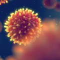 "Na putu ka eliminaciji": Danas se obeležava Svetski dan hepatitisa