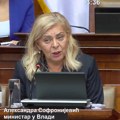 Ministarka Sofronijević: Zbog niskog vodostaja Dunava, četiri broda su se nasukala