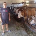 Kragujevac unapređuje stočarsku proizvodnju: Stručne preporuke za više mleka i veću isplativost (FOTO)