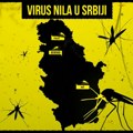 Batut: Groznica Zapadnog Nila bukti u 11 okruga, evo koja starosna grupa je prva na udaru