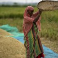 Indija: zabrana izvoza pirinča, strah od nestabilnosti na tržištima hrane