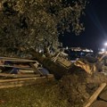 Novi Sad: Svi brojevi telefona za prijavu kvarova i štete nastalih u nevremenu (FOTO)