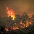 (Uznemirujući video) prizor koji slama srca Tela leže pored puta, preživeli traže sklonište