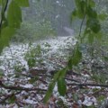 Grad uništio voće i žitarice u Topoli i Šapcu
