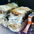 Krivična prijava protiv muškarca u čijoj kući je pronađeno 13,5kg duvana