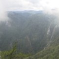 Šta su "hvatači magle" na Tari