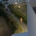 Tigar krišom snimio Jovanu Jeremić na plaži! Kad je video šta radi usred noći, ostao u šoku: "Ona je monstrum"