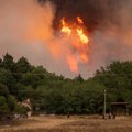 Izmene Zakona o planiranju i izgradnji: Omogućena izgradnja projekata od „javnog interesa“ na šumskom zemljištu oštećenom u…