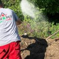 Uništavanje komaraca u Paraćinu: U ponedeljak tretman sa zemlje