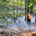 Na Vidliču vatra na nekoliko stotina hektara, požar se širi i prema dimitrovgradskim selima