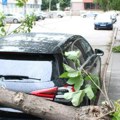 Vetar prepolovio drvo kod Elektrodistribucije(Foto+VIDEO)