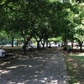 Predlog da se upiše godina i sa manje od 48 bodova: Kakvi će biti uslovi za upis studenata?
