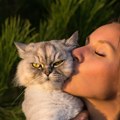 Mačke uvek imaju omiljenu osobu u domaćinstvu, evo kako biraju baš nju - nije "onaj ko je hrani"