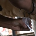 Nacionalna laboratorija za mleko od iduće godine naplaćuje usluge: Kako izgleda provera da li je mleko bezbedno