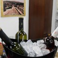 Sedmo druženje uz vino Danas u Muzeju Jadra u Loznici (foto)