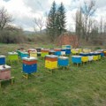 Suzbijanje lavri komaraca u Vlasotincu – 3. juna