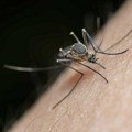 Komarci neće imati mira: Tretmani u više od 20 sela – da li je vaše mesto na spisku?