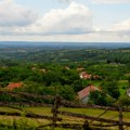 Dragaš na nogama zbog prizora nadomak kuća: Pogledajte šta je zver uradila u blizini domaćinstva