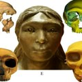 Nedavno pronađeni ljudski ostaci zbunili naučnike: Ne pripadaju nijednoj grani razvoja čoveka