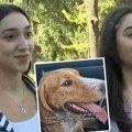 "Ja te nikada neću napustiti, vreme je da uživaš": Nakon što su fitnes bliznakinje odvele psa u azil, Beki je konačno…