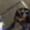 Brutalna tuča u centru Beograda pred doček: Obezbeđenje udara čoveka ispred kazina, i to pred devojkom