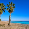 Muškarac optužen da je ukrao avion i ostavio ga na plaži