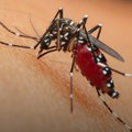 Izdato upozorenje za one koji putuju u Aziju: "Oprez zbog porasta infekcija koje prenose komarci"