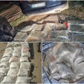 (Foto) velika zaplena droge u sremu Policajci pronašli čak 52 kilograma marihuane