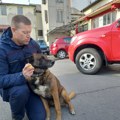 I Zigi kreće u potragu za Dankom Ilić: Spasilački pas, koji je tragao za ljudima u ruševinama u Turskoj, večeras stiže u…