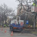 U toku zimsko orezivanje drveća, neophodno strpljenje učesnika u saobraćaju