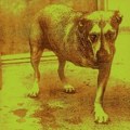 Stiže vinilno reizdanje povodom 30 godina albuma „Alice in Chains“ iz 1995