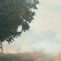 (Video) Garež leti na sve strane, ne vidi se prst pred okom! Automobili se jedva probijaju kroz gust dim: Veliki požar buknuo…