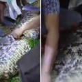 Vraćao se sa žurke, a onda ga je progutao piton: Meštani rasekli zmiju i zatekli jeziv prizor (video)
