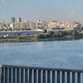 Beograđani u neverici: Sve se beli od ovih stvorova na Dunavu - evo šta kažu stručnjaci