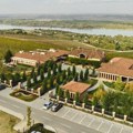 Noviteti renomirane vinske kuće iz Novog Slankamena već dobijaju visoke ocene: Nova vina stižu iz "Šapata"