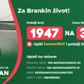 Umetnost koja leči – boje nade: Humanitarna akcija za Branku Pavković nastavlja se i onlajn