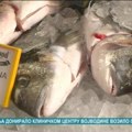 Visoka cena ribe više nije iznenađenje