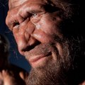 DNK neandertalaca pruža objašnjenje zašto neki vole da ustaju rano