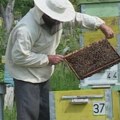 Počele prijave za subvencije za pčelare