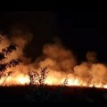 Izbio požar na Bulevaru Evrope usled visokih temperatura