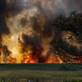 Kazne do milion dinara za paljenje strnjike posle žetve