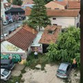 Zaječarski naprednjaci protiv blokada, ali su za klozete pod otvorenim nebom