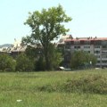 Kragujevac širi zelene površine: Novi projekat donosi više od 100 novih stabala u gradu