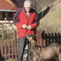Najstariji influenser u Srbiji: Deda Vide kupio ovce i koze pa otkrio Fejsbuk - danima nije spavao dok nije postao zvezda na…