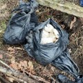Pronađena velika količina zakopane droge u Pančevu Uhapšena jedna osoba, oglasio se Dačić (foto)